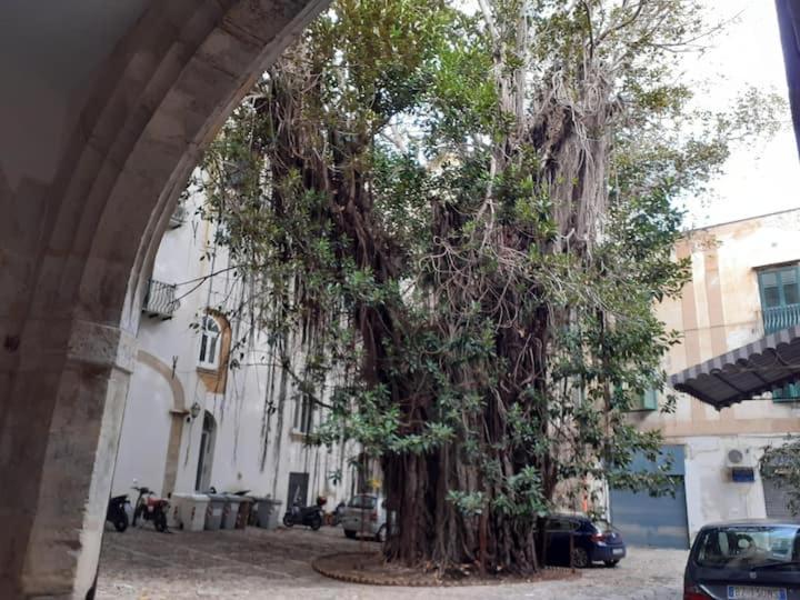 Vila Mela Verde Palermo Exteriér fotografie